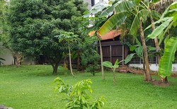 Serangoon Garden Estate (D19), Detached #205926781